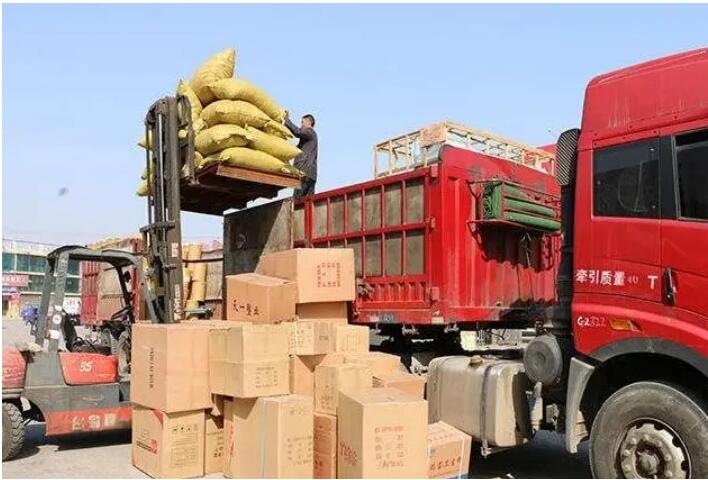 漳州到仁和区物流专线